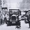 Photo: In 1920s NYC, Police Stopped Traffic For Crossing Cats